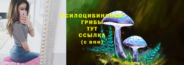 метадон Касимов
