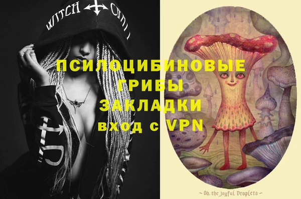 спайс Карталы