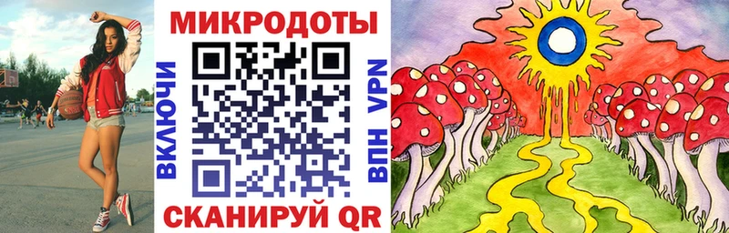 Галлюциногенные грибы Cubensis  купить наркоту  Хасавюрт 